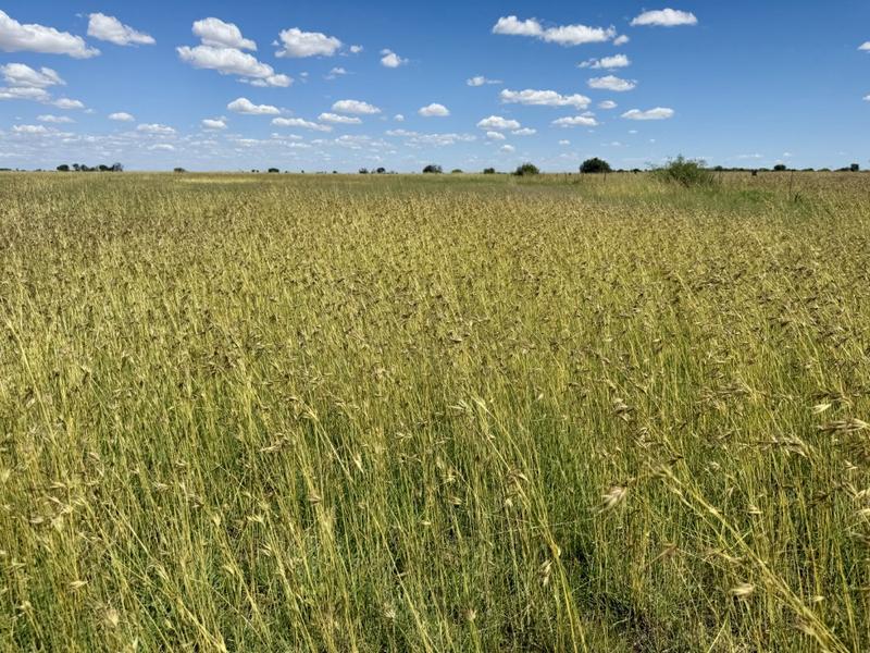 0 Bedroom Property for Sale in Bothaville Free State